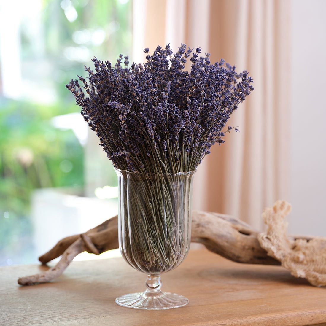 dried flower lavender Preserved Lavender Compositions – Le Jardin Francais