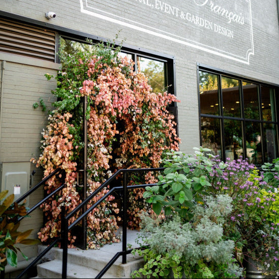 About L'Atelier – Le Jardin Francais