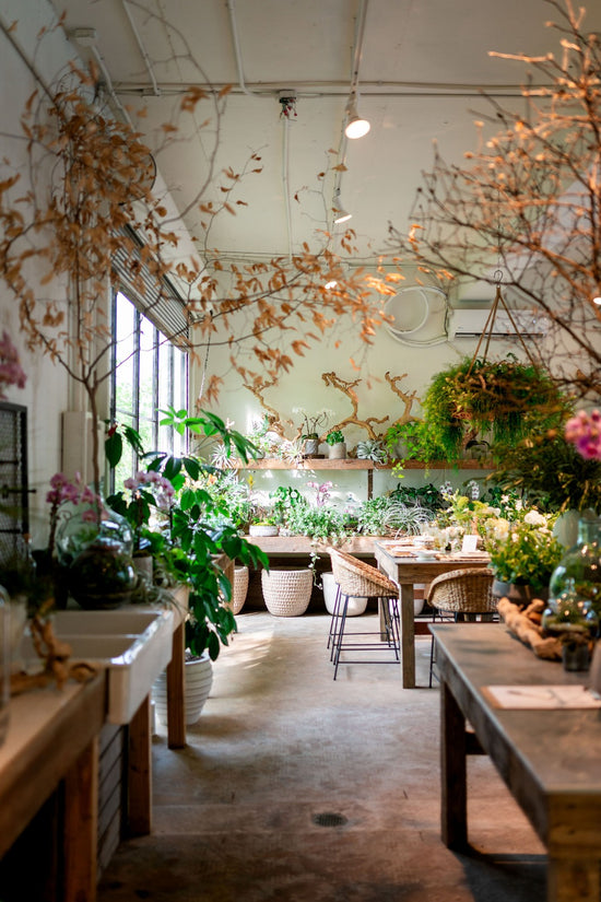 Le Jardin Francais
