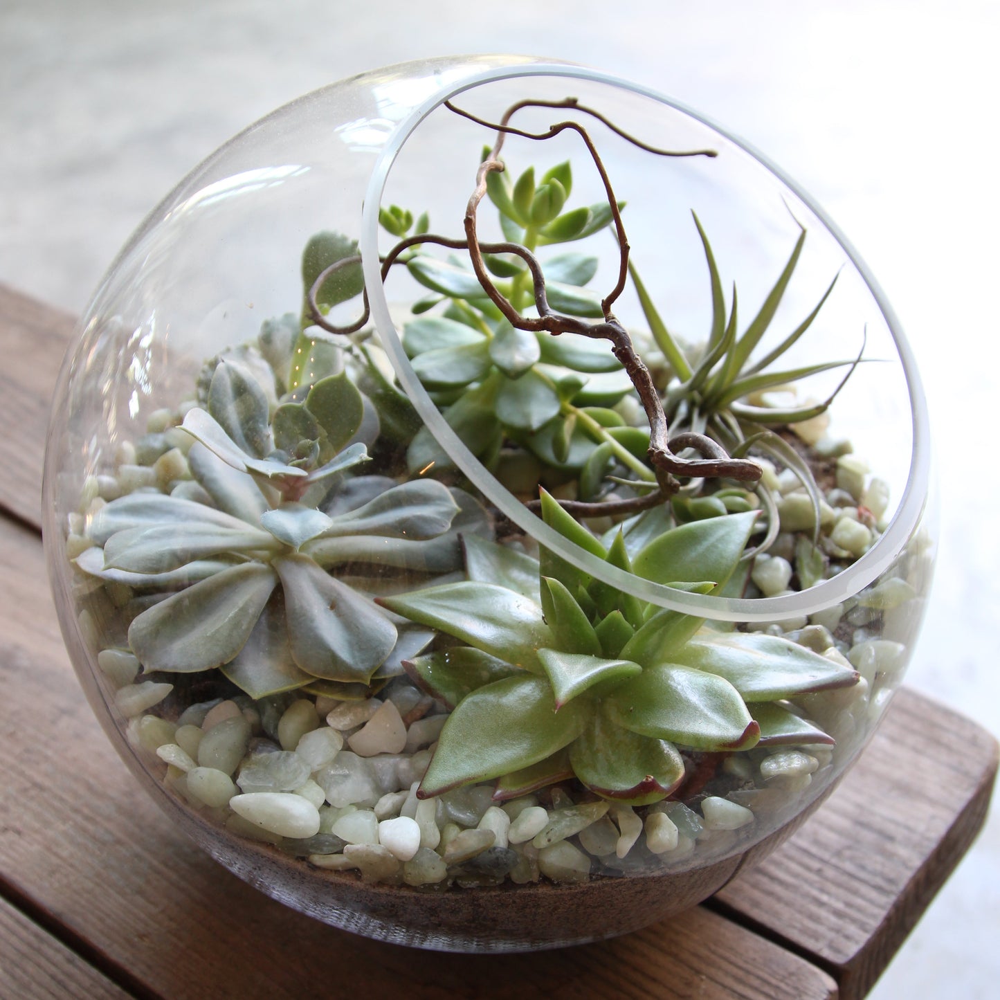 Glass terrarium with succulents and pebbles on a wooden surface