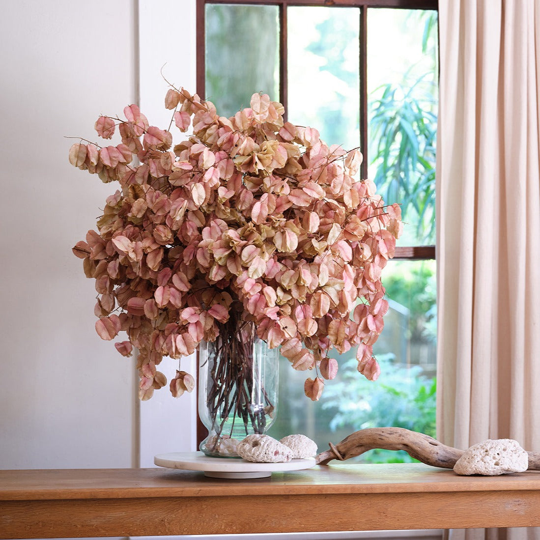 The Preserved Collection – Le Jardin Francais